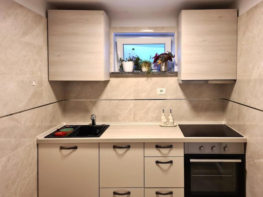 Hisa Idej Apartment Sezana Exterior photo